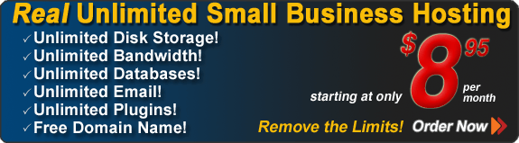 Real Unlimited Small Business Hosting